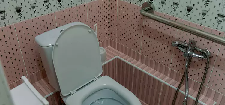 Meeting Diverse Needs With Accessible Restroom Solutions in Benbrook, TX