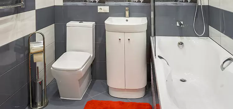 Hansgrohe Shaving Mirror Benbrook